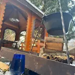 Holiday home Florilor