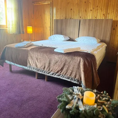 Florilor Predeal Holiday home *