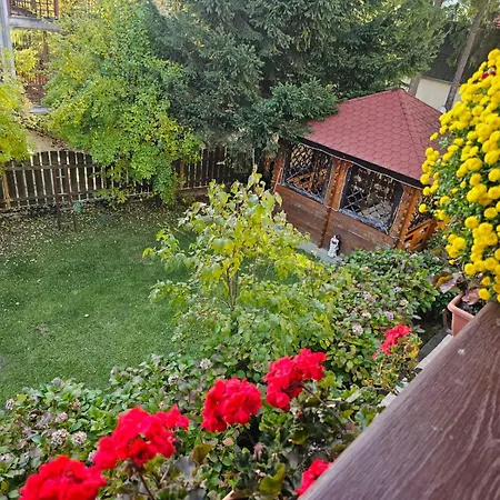 Florilor Predeal Holiday home *