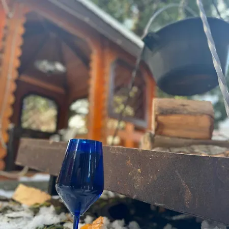 בית נופש Florilor פרדיאל