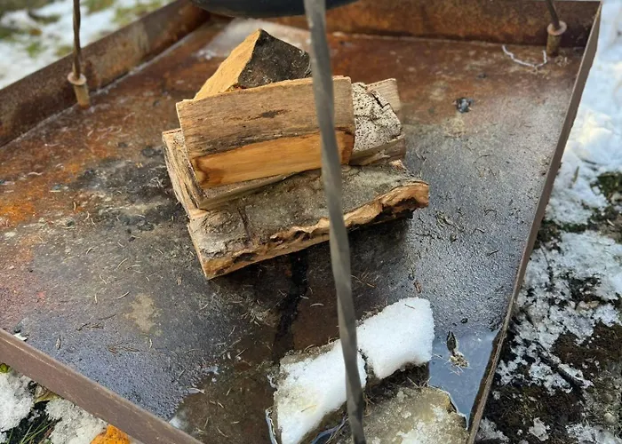 Florilor Holiday home *